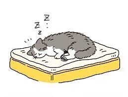 お休みなさい(๑˘ω˘๑)ｽｬｧ…