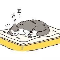 お休みなさい(๑˘ω˘๑)ｽｬｧ…