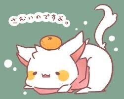 おはようございます☀