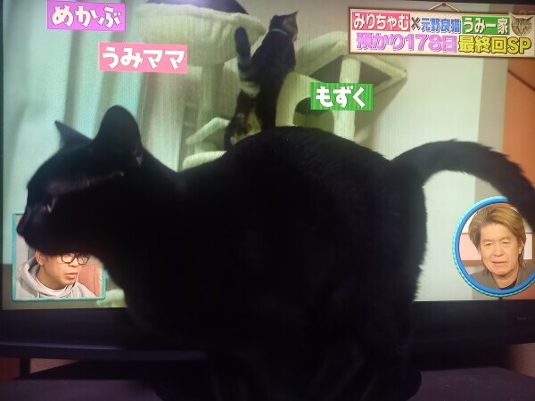 おやすみなさい😴