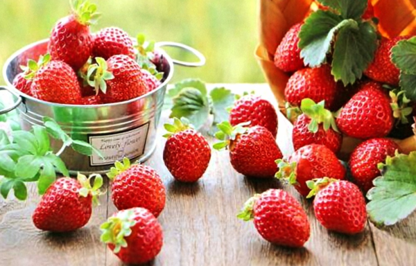 次回 出勤は8日㈰