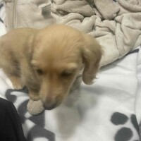 出勤しました🎵