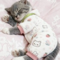 出勤しました☃️💦