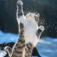 出勤しました🐾