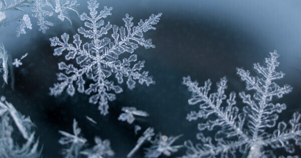 雪ふってるー！！