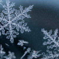 雪ふってるー！！