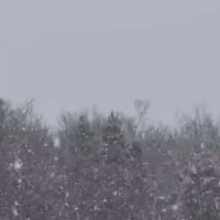 雪ですね〜⛄️