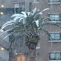 吹雪いてる🥶❄