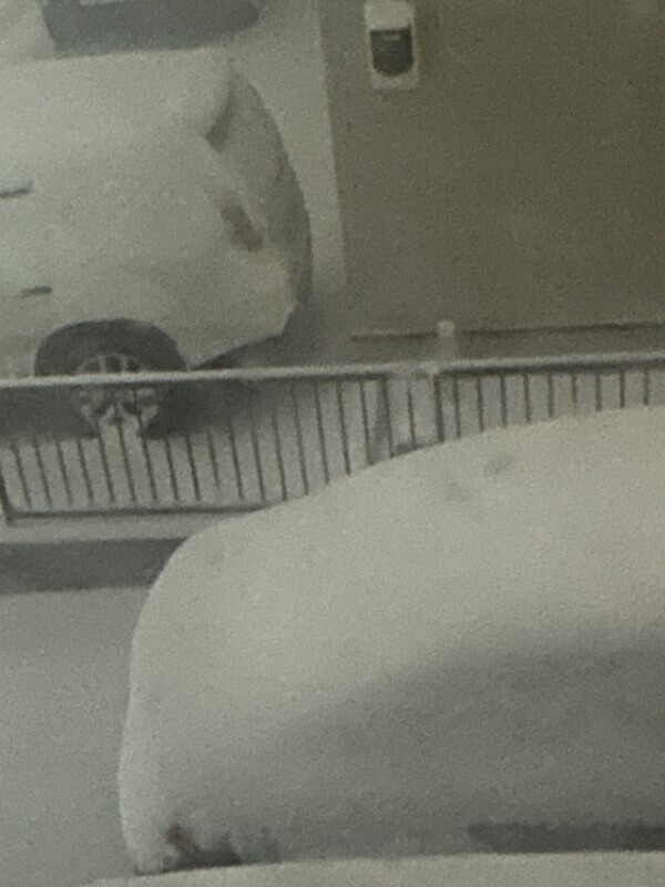 おはようございます！