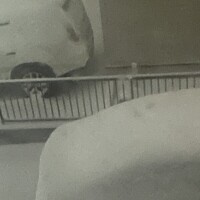 おはようございます！