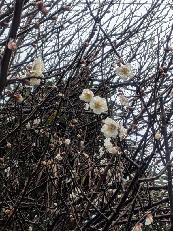 移動していくと、、、