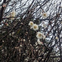 移動していくと、、、