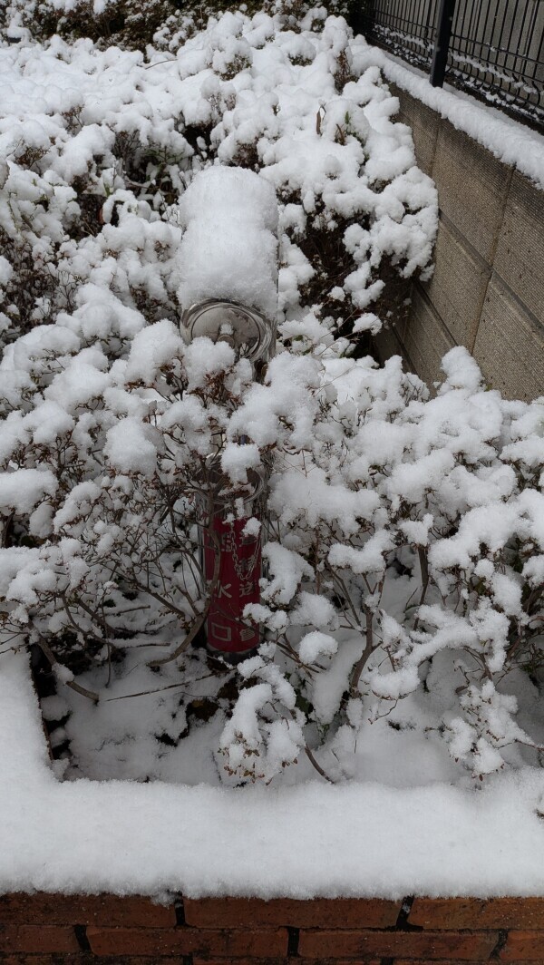 出勤しました☀