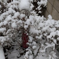 出勤しました☀