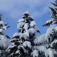 (日)オヤツ前から出勤です🤗