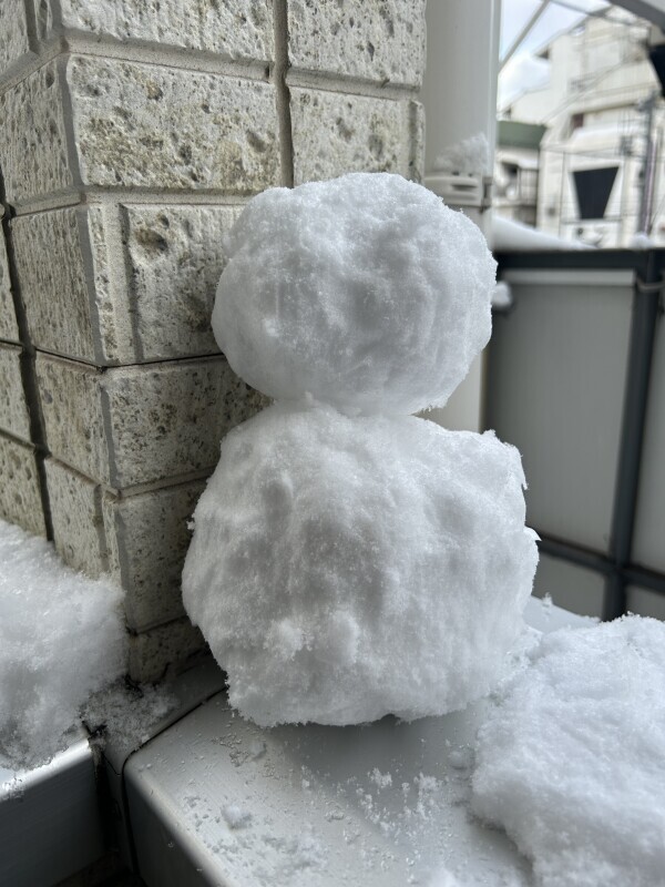 出勤しました☃️