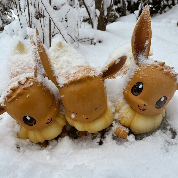 ありがとうございました🍰