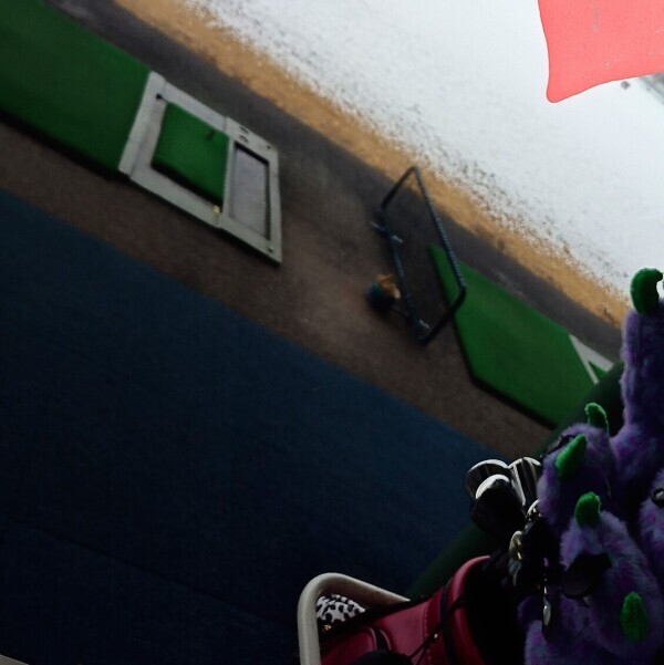 ✨🪷2月7日🪷✨