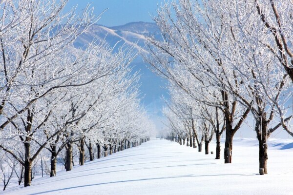 ✨おはようございます✨