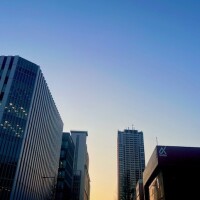 出勤しました❣️