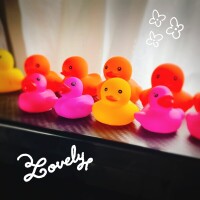アヒルコレクション🐤