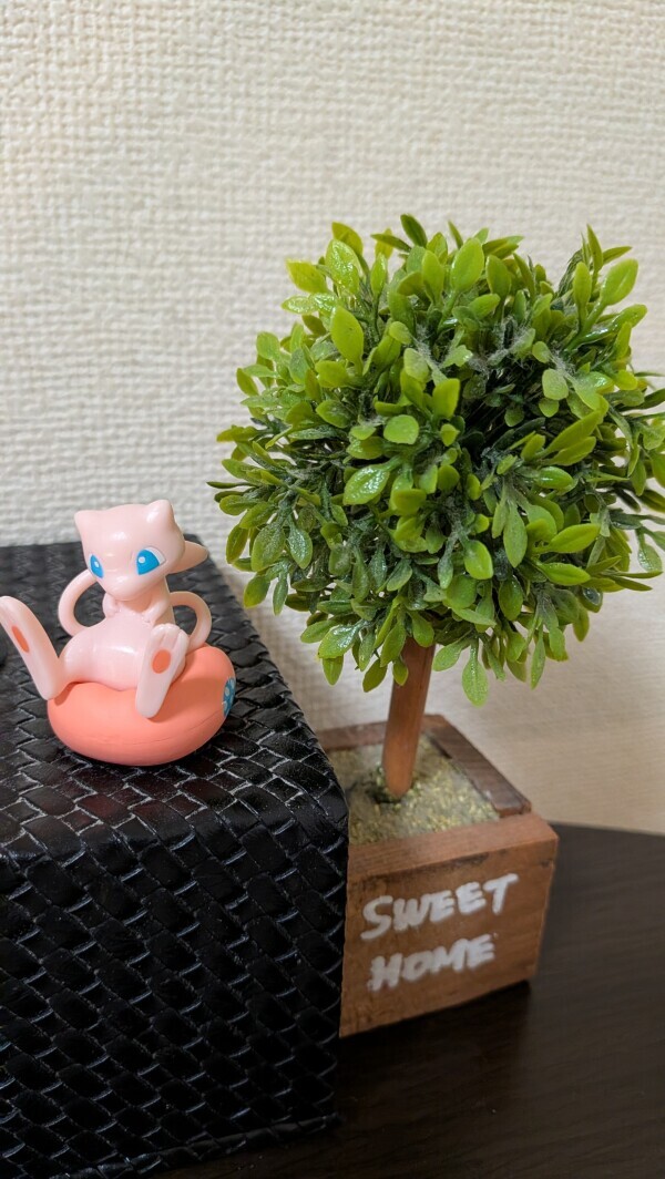 ありがとうございました🍀