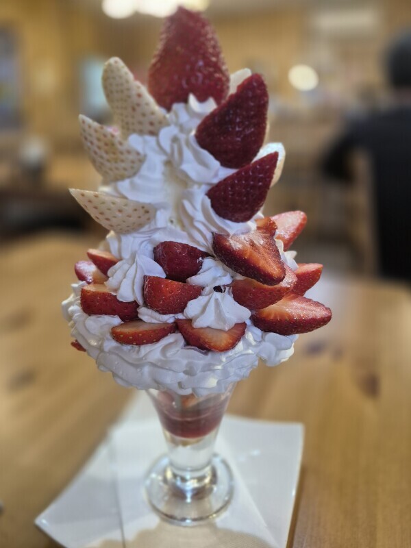 ✨🪷2月10日🪷✨