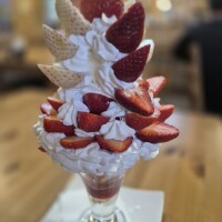 ✨🪷2月10日🪷✨