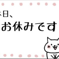 おはようございます☀️