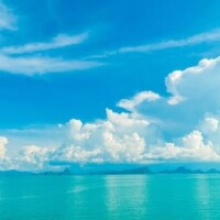 おはようございますっ🐧✨️