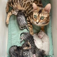 出勤しました😃