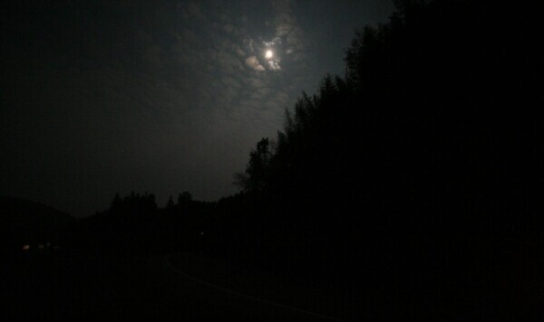 おはようございます