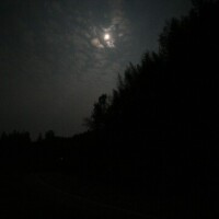 おはようございます