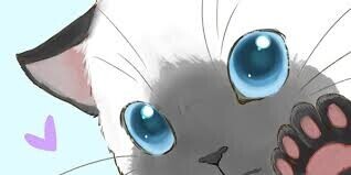 おはようございます☀