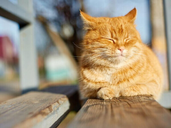 ✨出勤しました✨