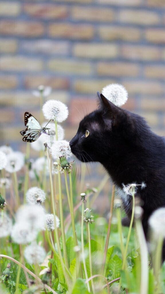 出勤しました😃