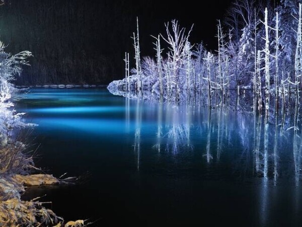 ✨今日も1日お疲れ様です✨