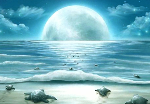 お疲れさまです