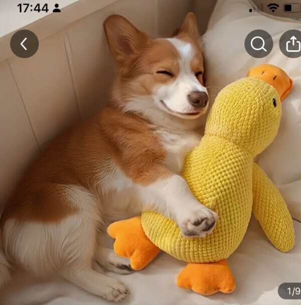 🎀お知らせです🎀