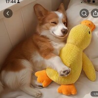 🎀お知らせです🎀