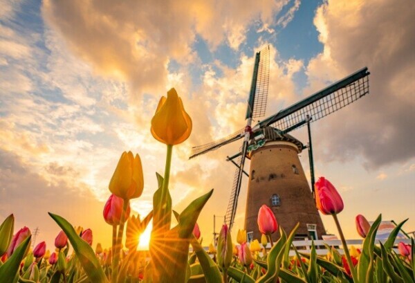 出勤しました😃