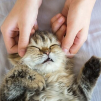 出勤しました🐾