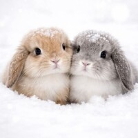 ありがとうございました🎀