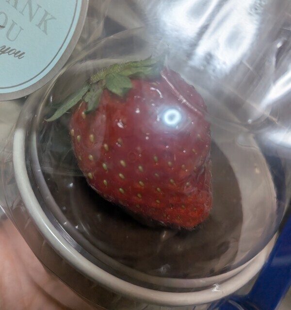 好評だったようです😆