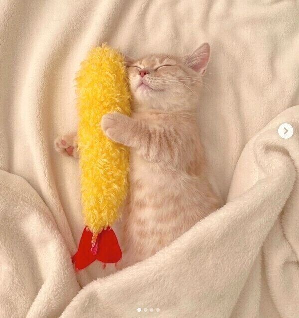 出勤しました😃