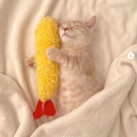 出勤しました😃