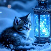 出勤してます🌠