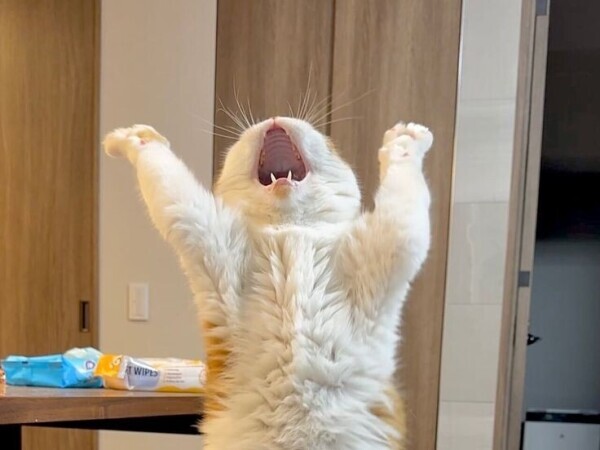 お休み1日目🌥️