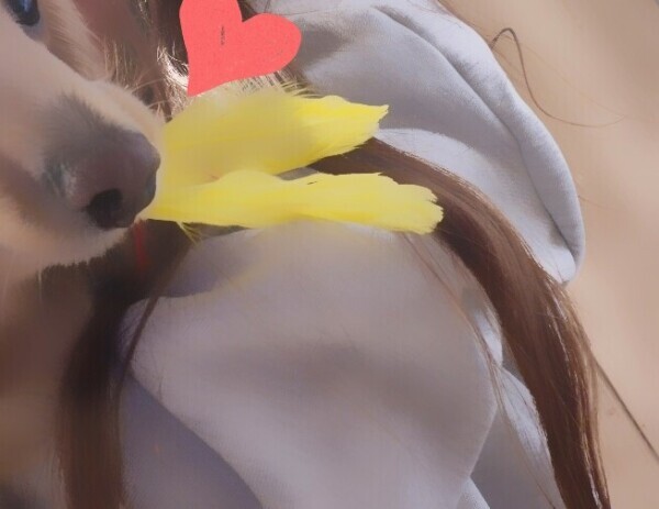 ✨🪷ぷち運動🪷✨