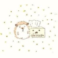 おはようございます☀